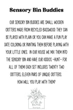 Load image into Gallery viewer, Sensory Bin Buddies